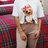 Christmas Dog Pajamas