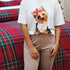 Christmas Dog Pajamas