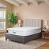 Cama Sealy Alicante