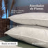 Almohada 50/50